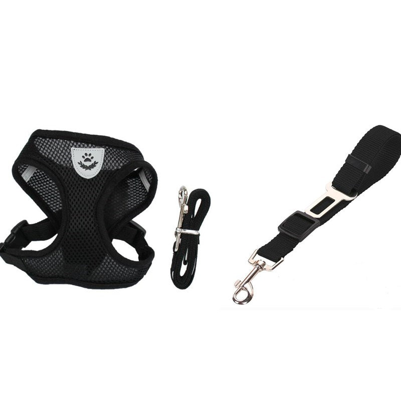 Pet Car Seat Belt & Leash Combo