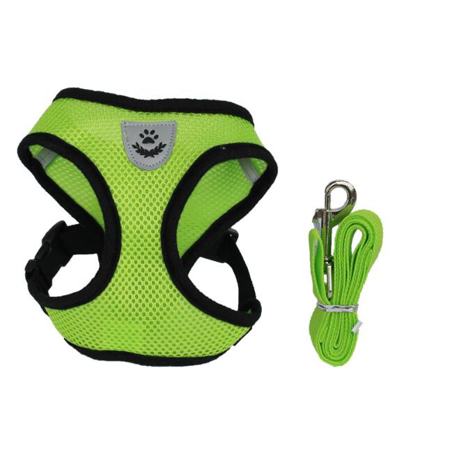 Pet Car Seat Belt & Leash Combo