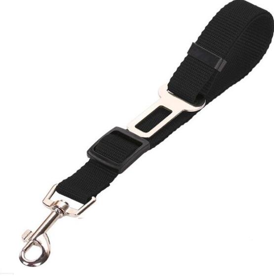 Pet Car Seat Belt & Leash Combo