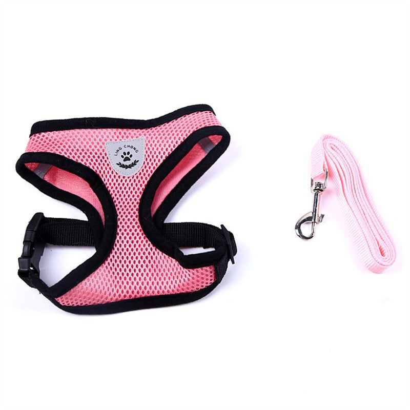 Pet Car Seat Belt & Leash Combo