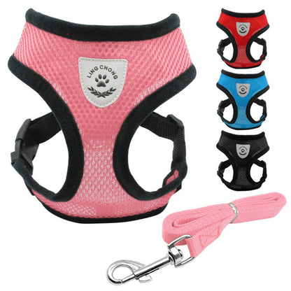 Pet Car Seat Belt & Leash Combo