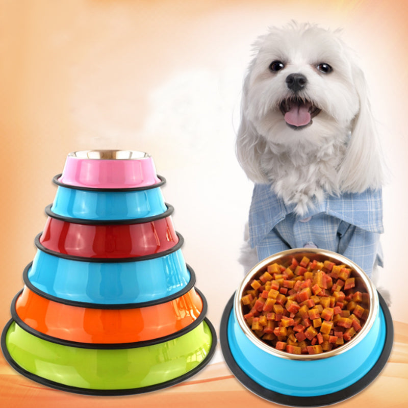 Pet Feeding Bowl