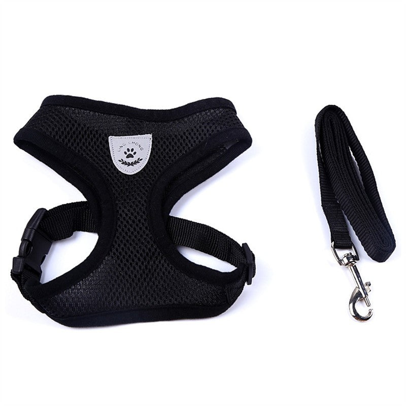 Pet Car Seat Belt & Leash Combo