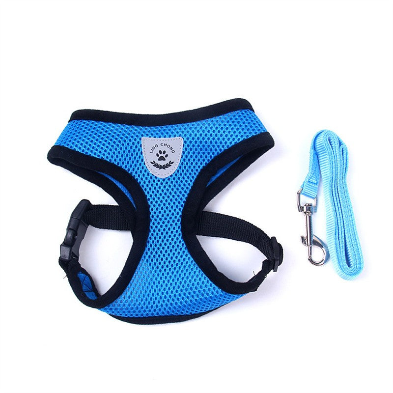 Pet Car Seat Belt & Leash Combo