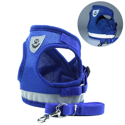 Pet Car Seat Belt & Leash Combo