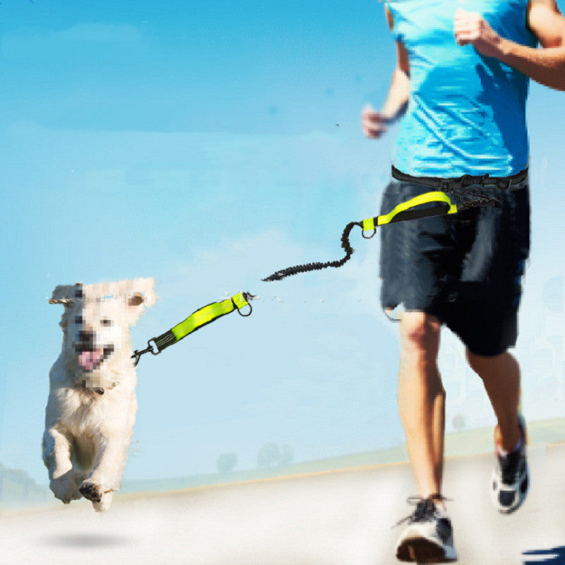 Pet Multifunctional Traction Rope